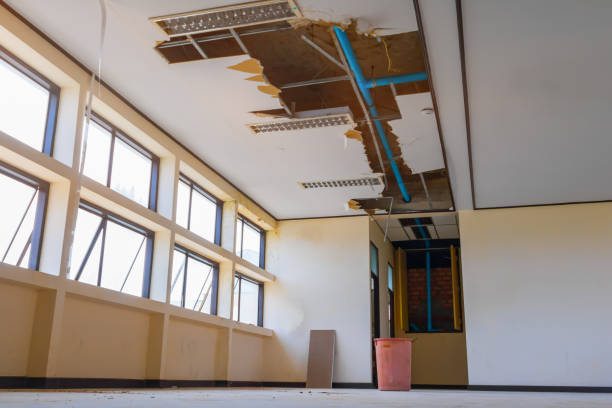 Best Water damage mitigation services  in Leesburg, VA