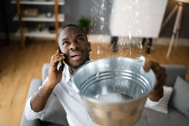 Best Sewage cleanup and water damage restoration  in Leesburg, VA