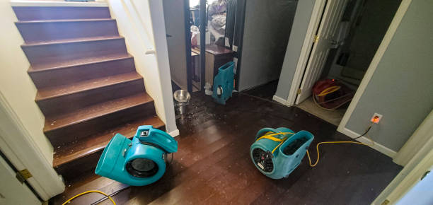 Best Water damage restoration near me  in Leesburg, VA