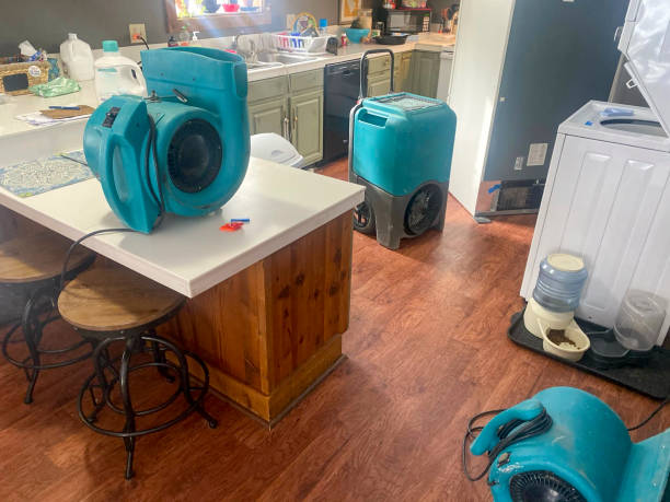 Best Water damage restoration specialists  in Leesburg, VA