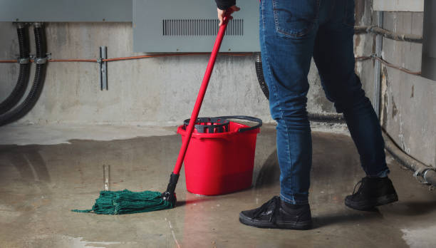 Best Flooded house restoration  in Leesburg, VA