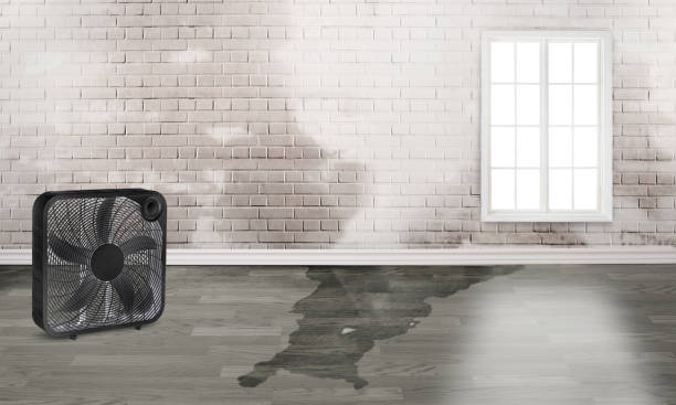 Best Residential water damage restoration  in Leesburg, VA