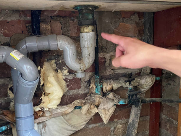 Best Water damage cleanup near me  in Leesburg, VA