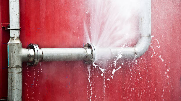 Best Professional water damage repair  in Leesburg, VA